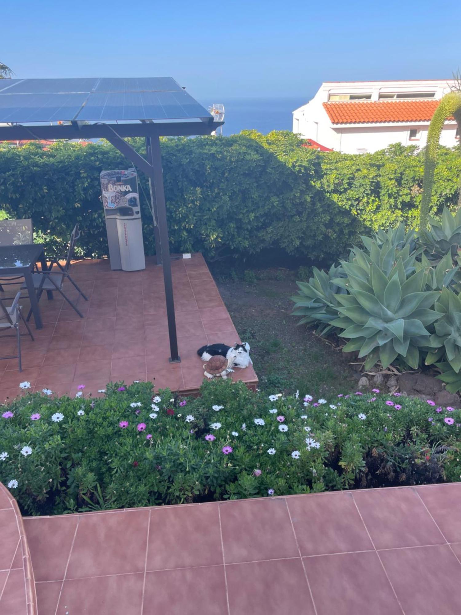 Alojamiento De Invitados El El Sauzal Buitenkant foto